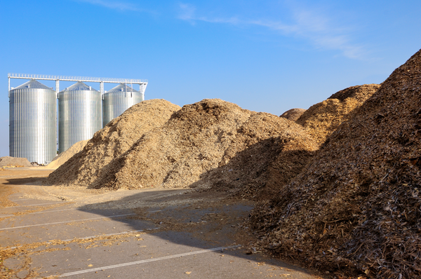 Biomasse für die Pelletproduktion 