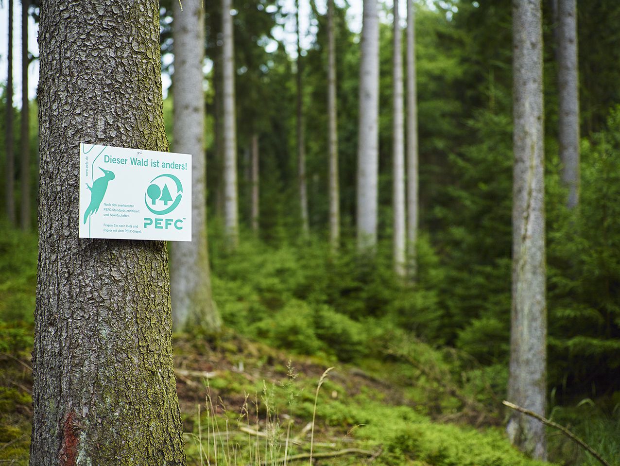 PEFC-zertifizierte Wälder
